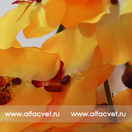 искусственные цветы букет орхидеи цвета желтый 1
