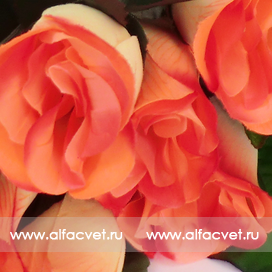 искусственные цветы букет роз с крупными листьями цвета розовый 5