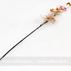 искусственные цветы ветка орхидеи с блестками цвета белый 6