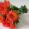 искусственные цветы букет маргариток с добавкой цвета красный 4