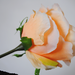 искусственные цветы роза цвета кремовый 24